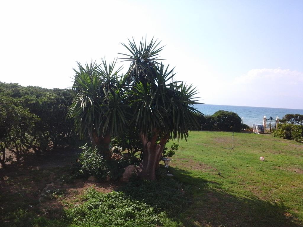 Apartament Akti Anastasia Acharavi (Corfu)