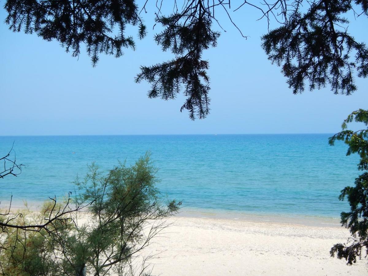 Apartament Akti Anastasia Acharavi (Corfu)